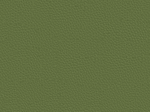  现代无缝粗纹皮革 绿色粗纹无缝真皮纹理 