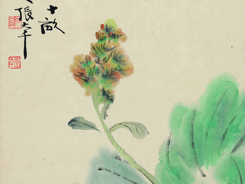 张大千绘画作品，中国近现代水墨画，写意水墨画开花图纸本