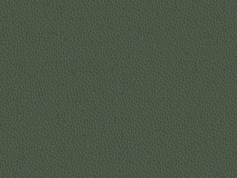  现代无缝粗纹皮革 绿色粗纹无缝真皮纹理 
