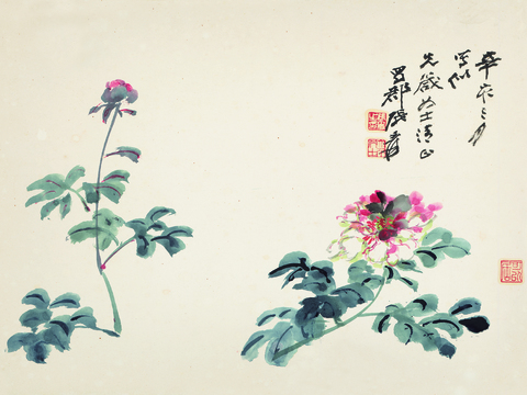 张大千绘画作品，中国近现代水墨画，写意水墨画芍药图纸本