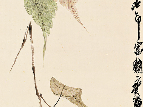 齐白石写意水墨画，近现代水墨画 贝叶草虫-OK 40x135