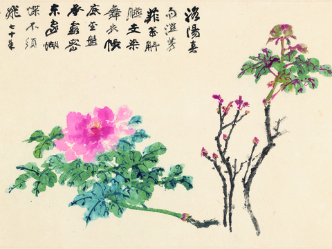 张大千绘画作品，中国近现代水墨画，写意水墨画花卉纸本