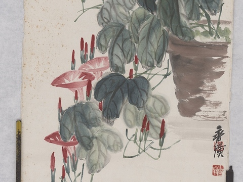 齐白石写意水墨画，近现代水墨画 牵牛花蚂蚱