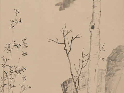  张大千绘画作品，中国近现代水墨画，写意水墨画百尺梧桐半亩荫 