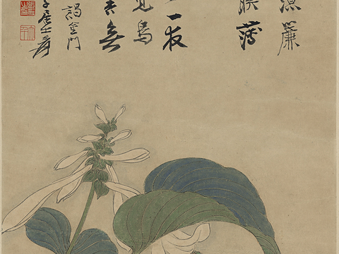  张大千绘画作品，中国近现代水墨画，写意水墨画花卉草虫 