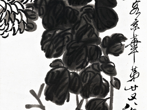 齐白石写意水墨画，近现代水墨画-菊花-3 35X98+