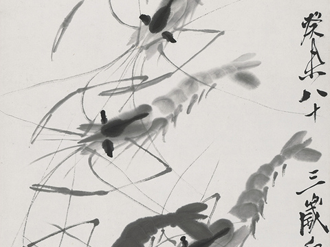 齐白石写意水墨画，近现代水墨画-六虾图 34x67