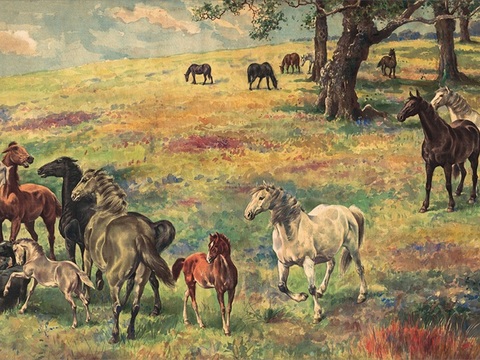 徐悲鸿水墨画，水墨花鸟动物画，近现代水墨画， 骏马图-1 1