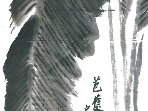 齐白石写意水墨画，近现代水墨画 芭蕉 49x136