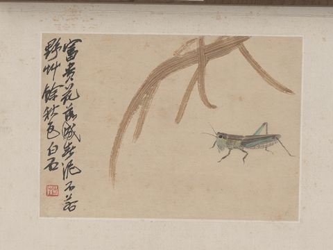 齐白石写意水墨画，近现代水墨画 昆虫册页10开10