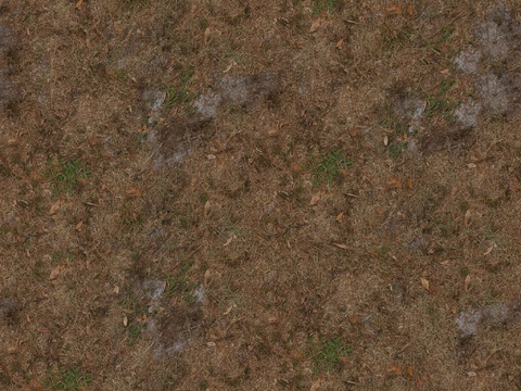 水泥地 土地 土壤 地面 碎石