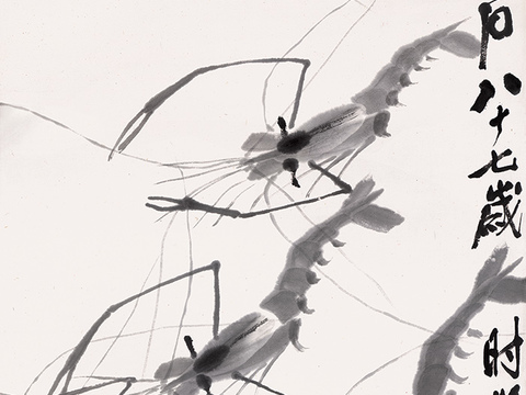 齐白石写意水墨画，近现代水墨画 墨虾图 纸103.4X33.