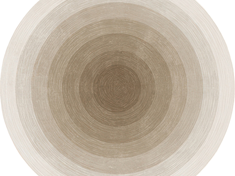 圆形地毯 客厅简约轻奢地毯贴图