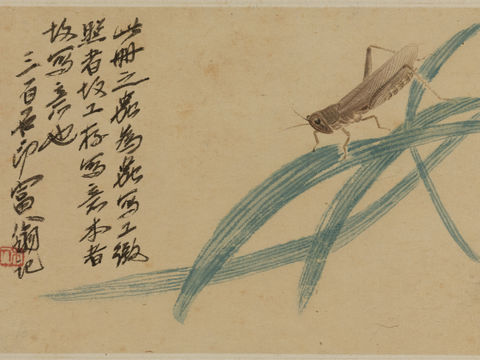  齐白石写意水墨画，近现代水墨画16 (2) 