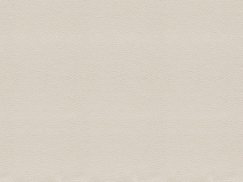 浅色粗纹皮革贴图