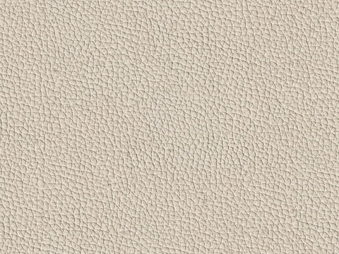 无缝浅咖色荔枝纹粗纹皮革