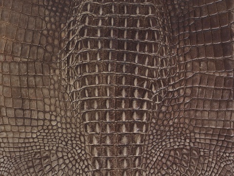 高清鳄鱼皮革贴图