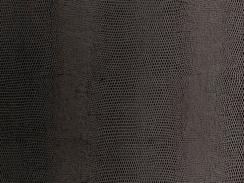 黑色纹理皮革贴图