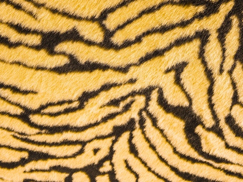 虎纹印花毛皮贴图