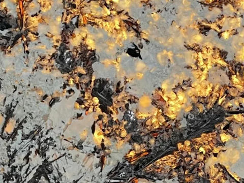 奢石金孔雀透光石