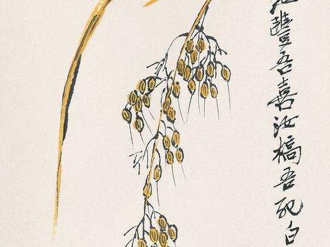  齐白石写意水墨画，近现代水墨画281 