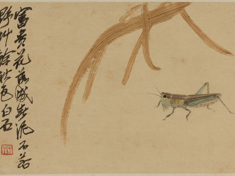  齐白石写意水墨画，近现代水墨画17 (2) 