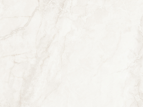 诺贝尔裤碟白大理石