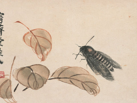  齐白石写意水墨画，近现代水墨画190 