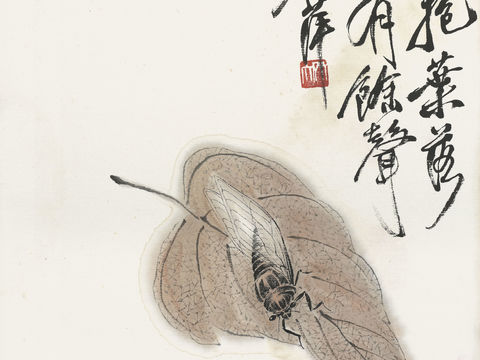 齐白石写意水墨画，近现代水墨画60 (2)