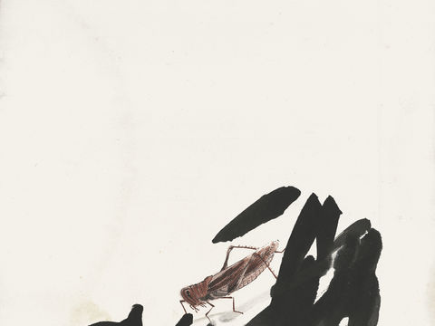 齐白石写意水墨画，近现代水墨画69 (2)