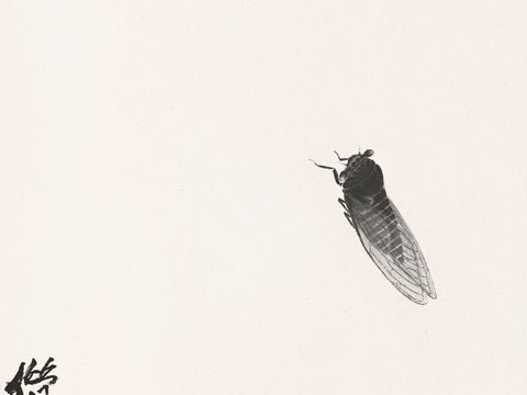  齐白石写意水墨画，近现代水墨画172 