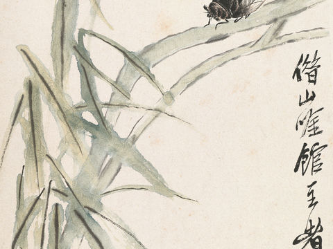  齐白石写意水墨画，近现代水墨画53 (3) 