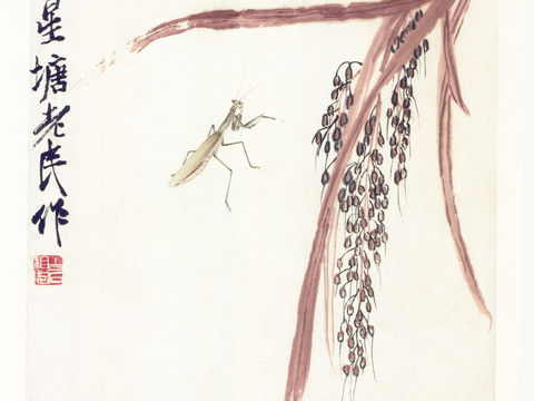 齐白石写意水墨画，近现代水墨画6 (2)