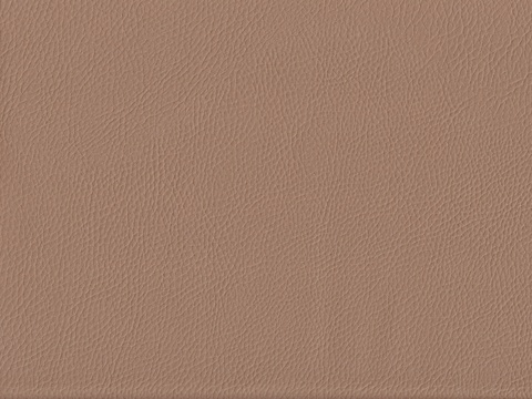  浅棕色粗纹皮革贴图 