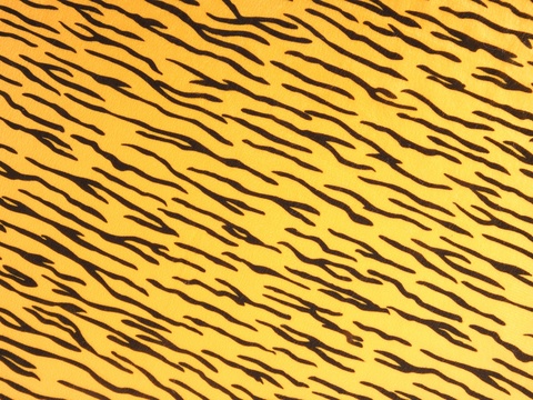 虎纹印花图案贴图