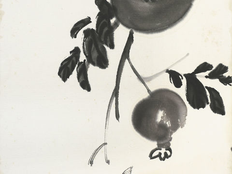 齐白石写意水墨画，近现代水墨画78 (2)