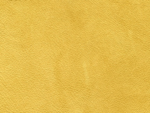 金色细纹皮贴图