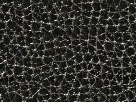  高清动物皮皮革贴图 