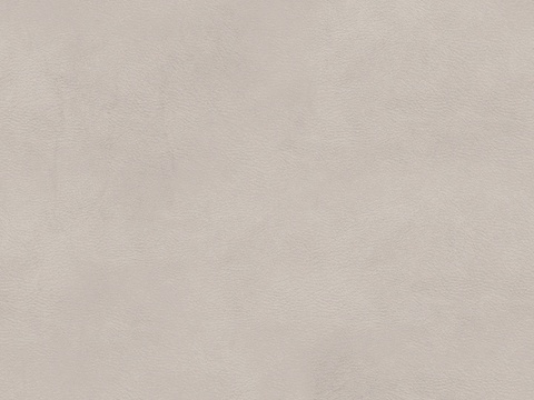  浅色细纹皮革贴图 