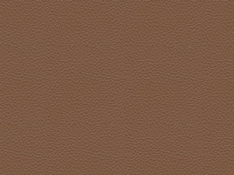  现代细纹皮革_浅棕色皮革 