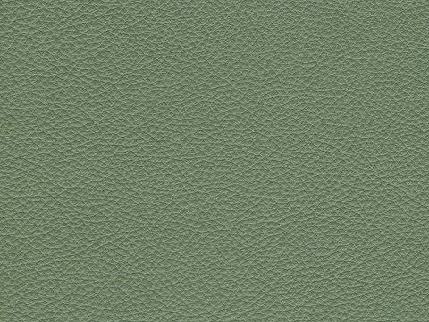  绿色粗纹皮革贴图 
