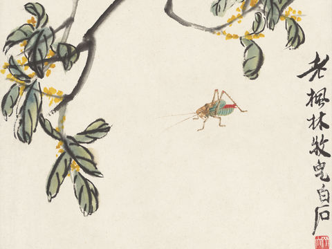  齐白石写意水墨画，近现代水墨画25 (2) 