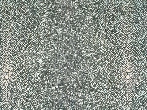 鱼皮纹皮革贴图