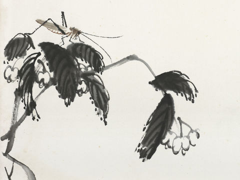 齐白石写意水墨画，近现代水墨画65 (2)