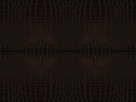 高清鳄鱼皮革贴图