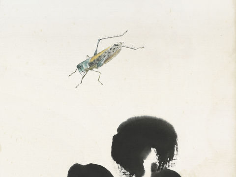 齐白石写意水墨画，近现代水墨画70 (2)