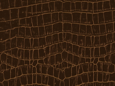 高清鳄鱼皮皮革贴图