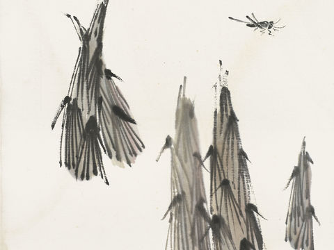  齐白石写意水墨画，近现代水墨画75 (2) 