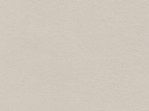 砂灰皮革纹贴图