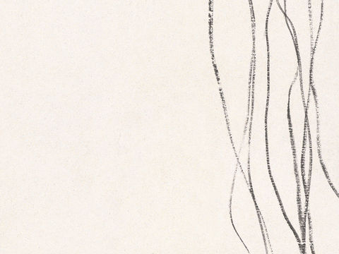 齐白石写意水墨画，近现代水墨画24